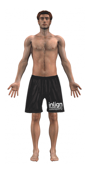 Image of Arm and Shoulder Pain