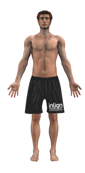 Common Tendonitis Areas