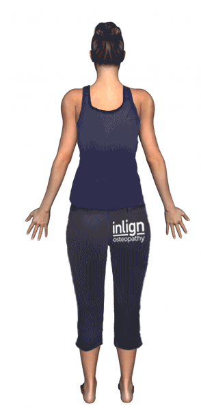 Areas Impacted By Neck Pain